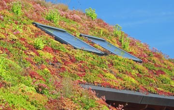 Flockton living roof systems